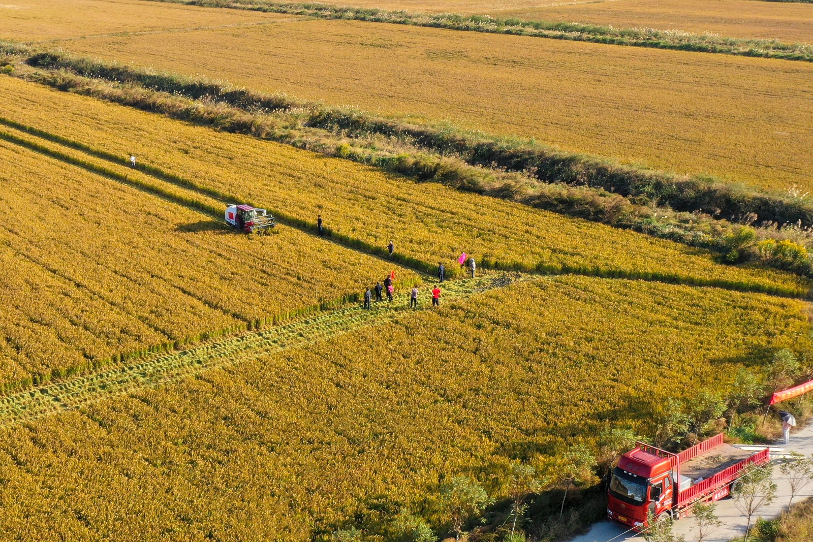 1月13日 星期二 （一版） 我县2160亩盐碱耕地改良利用项目通过市级验收.jpg