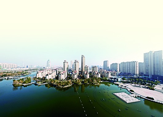 国税背景.jpg