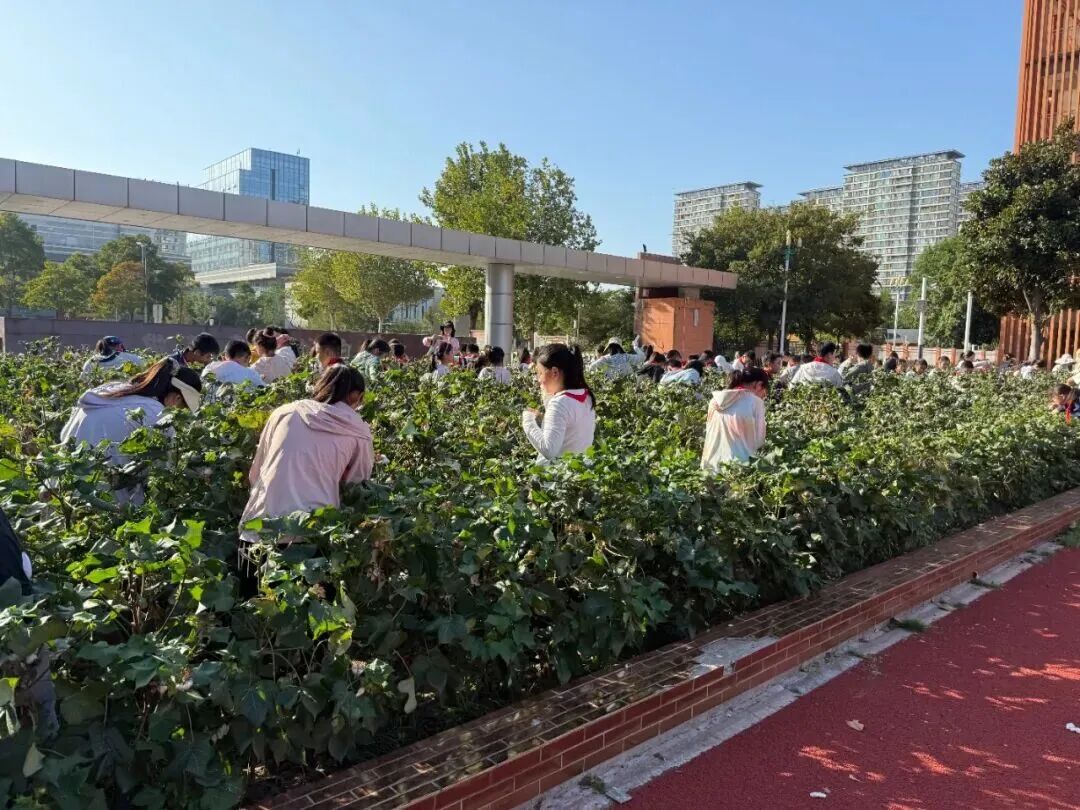 微信图片_20251020160815_373_14.jpg
