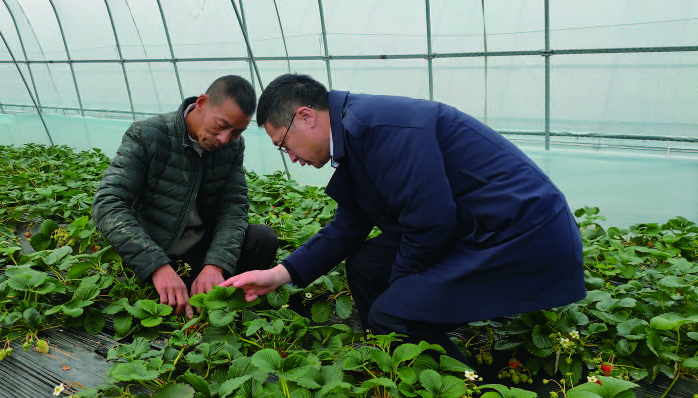 江苏省农业融资担保有限责任公司切实缓解我县农业经营主体急难愁盼