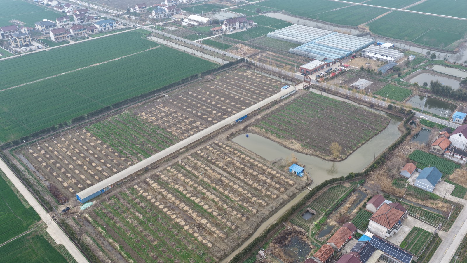 1cffd3a7dd74a71bebb3ed60b6bac795.jpg 1cffd3a7dd74a71bebb3ed60b6bac795.jpg