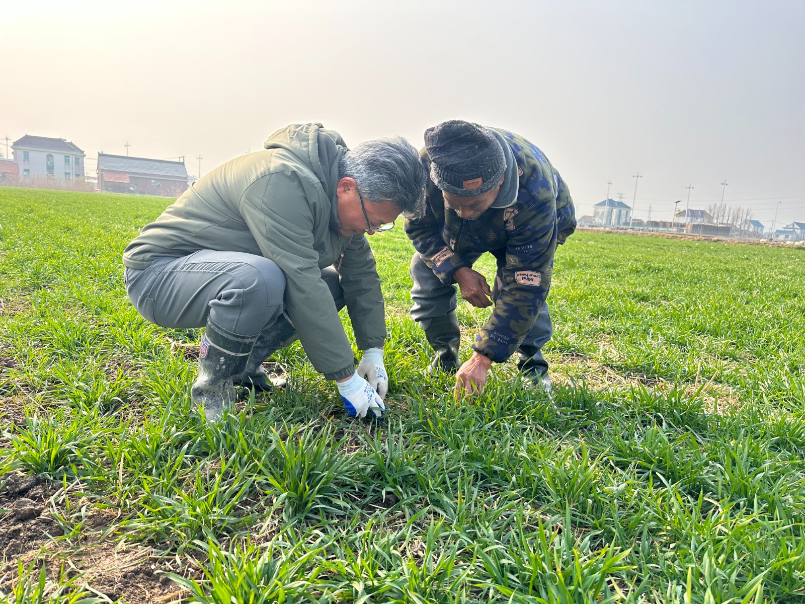 微信图片_20260226151050.jpg 微信图片_20260226151050.jpg