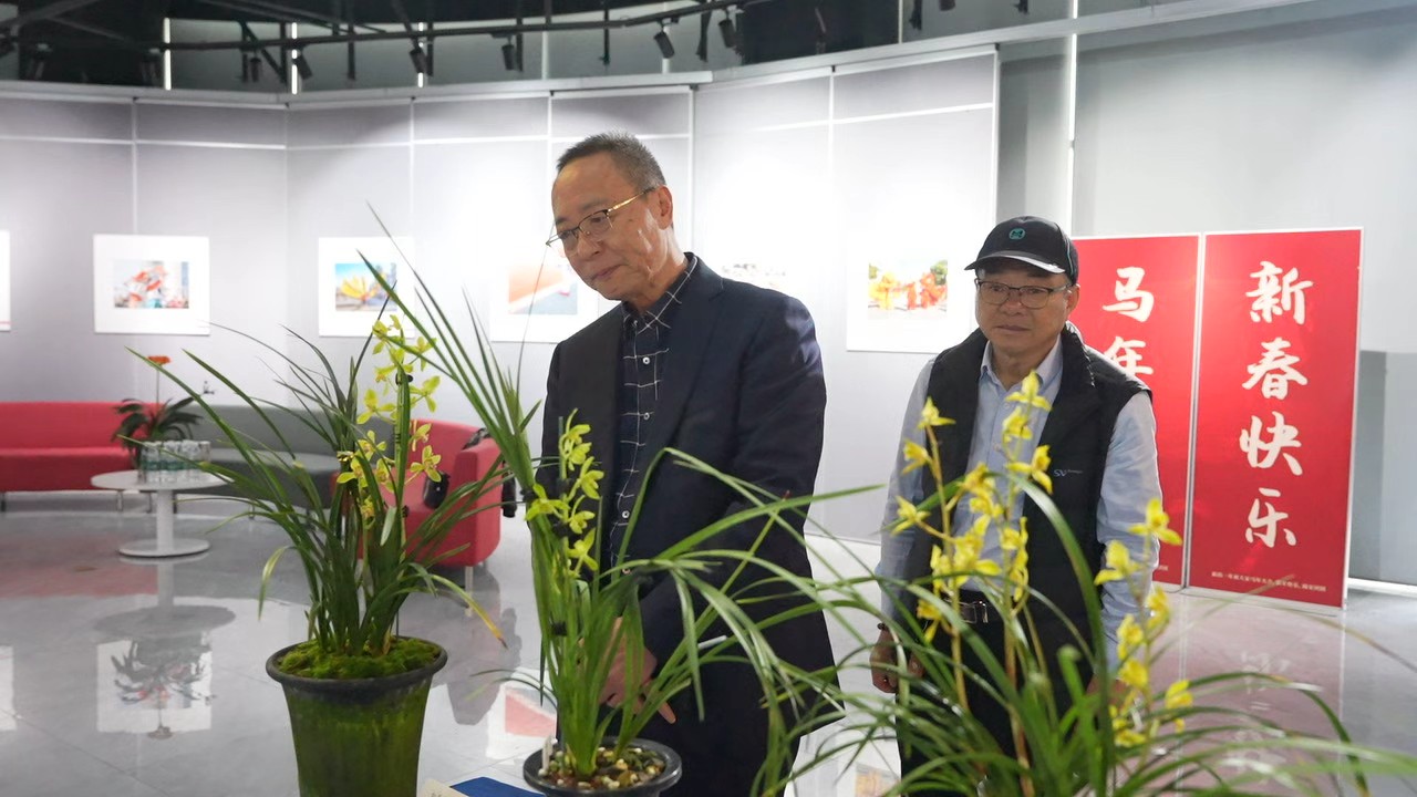 4月21日 星期二 （二版） 18日上午，以“兰韵流芳，蕙香蠙城”为主题的如东第六届兰花展在县文化馆正式开展，本届兰花展参展规模可观、精品荟萃，吸引了30余位兰花爱好者送展，展品总量超过140盆。全媒体记者 祝扬燕 摄.jpg