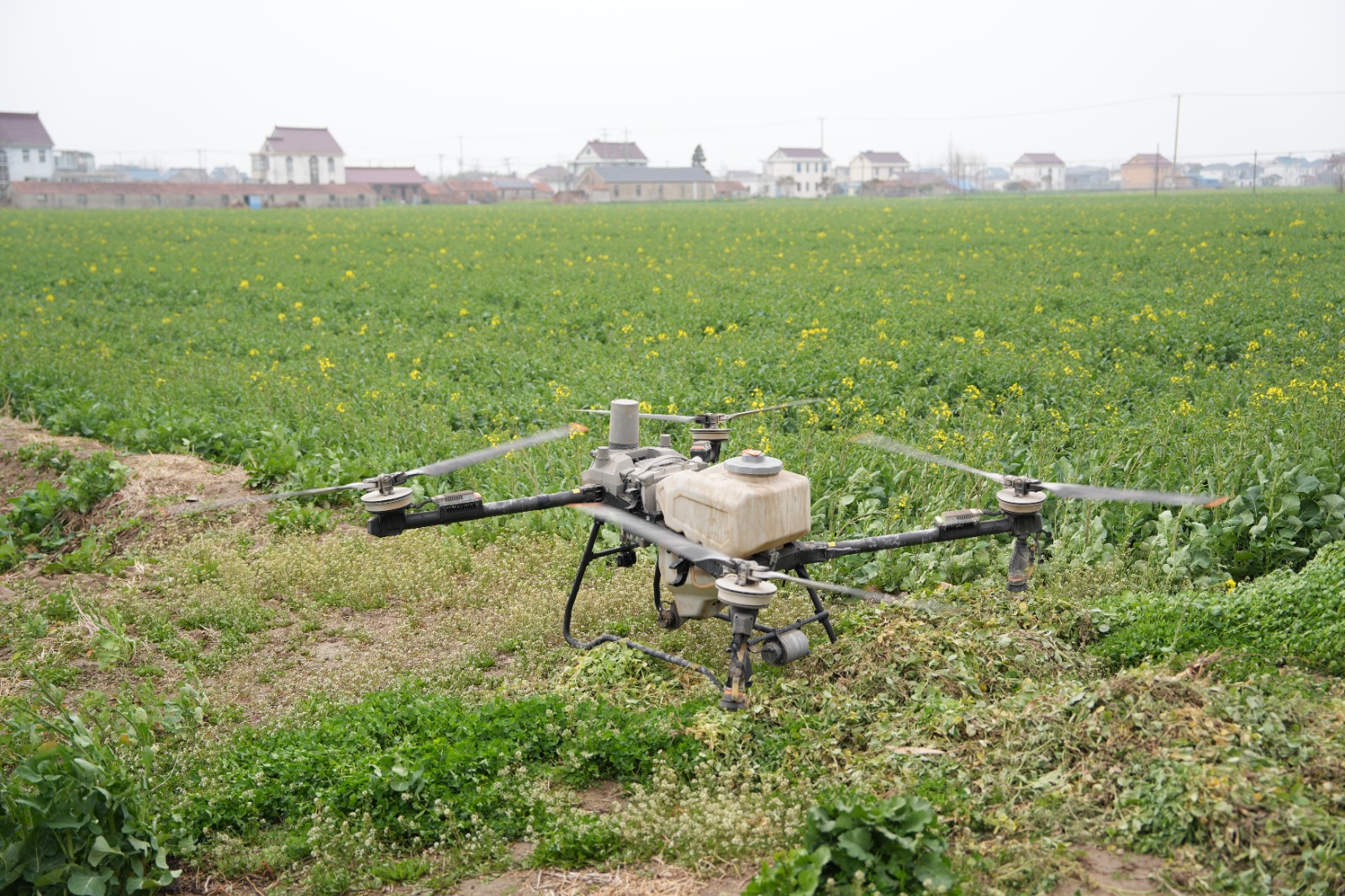 微信图片_20260326145700_1664_90.jpg 微信图片_20260326145700_1664_90.jpg