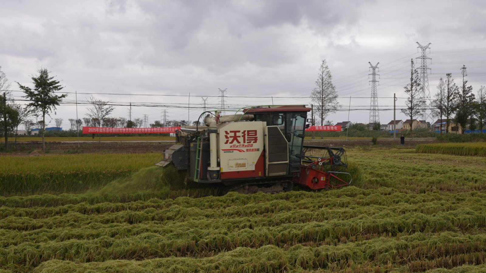 10月26日 星期日 （二版） 日前，全县收割机驾驶员职业技能竞赛暨水稻机收减损技能大比武活动在洋口镇杨楝园村举办，竞赛分为理论与实操两大环节，在经过严格的理论知识考核之后，来自各镇区的收割机驾驶员代表纷纷转战指定稻田，展开实地操作竞赛（二）。全媒体记者 陈慧 朱南州 摄.jpg
