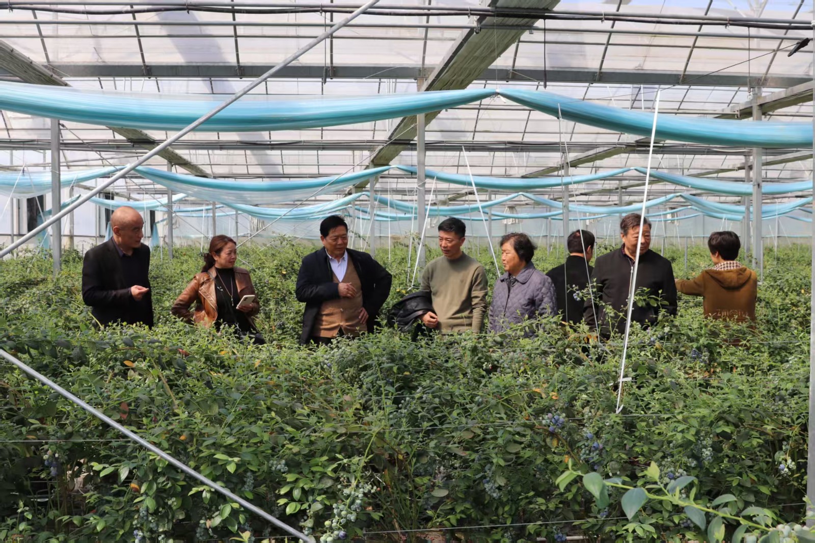 4月16日 星期四 （二版） 近日，曹埠成教中心校依托搭建的老龄友好新空间，组织银龄学员开展“春季行”活动。银龄学员在曹埠蓝莓种植基地，观察蓝莓生长环境，与工作人员交流种植技术、管理方法及市场前景。通讯员 黄健 摄.jpg