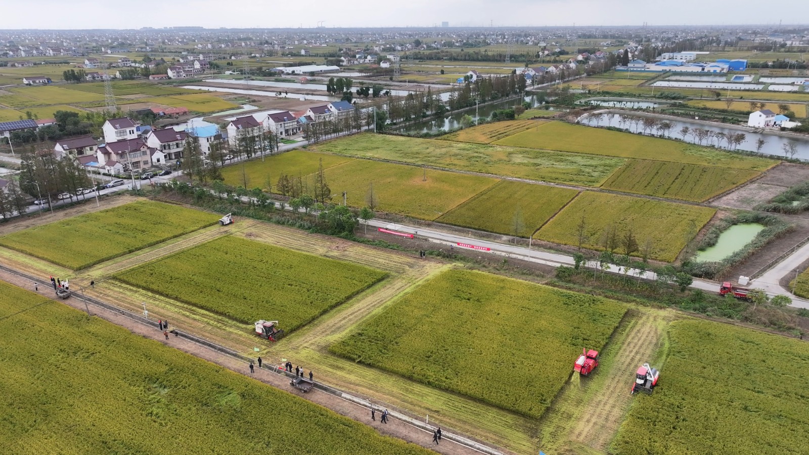 10月26日 星期日 （二版） 日前，全县收割机驾驶员职业技能竞赛暨水稻机收减损技能大比武活动在洋口镇杨楝园村举办，竞赛分为理论与实操两大环节，在经过严格的理论知识考核之后，来自各镇区的收割机驾驶员代表纷纷转战指定稻田，展开实地操作竞赛（一）。全媒体记者 陈慧 朱南州 摄.jpg