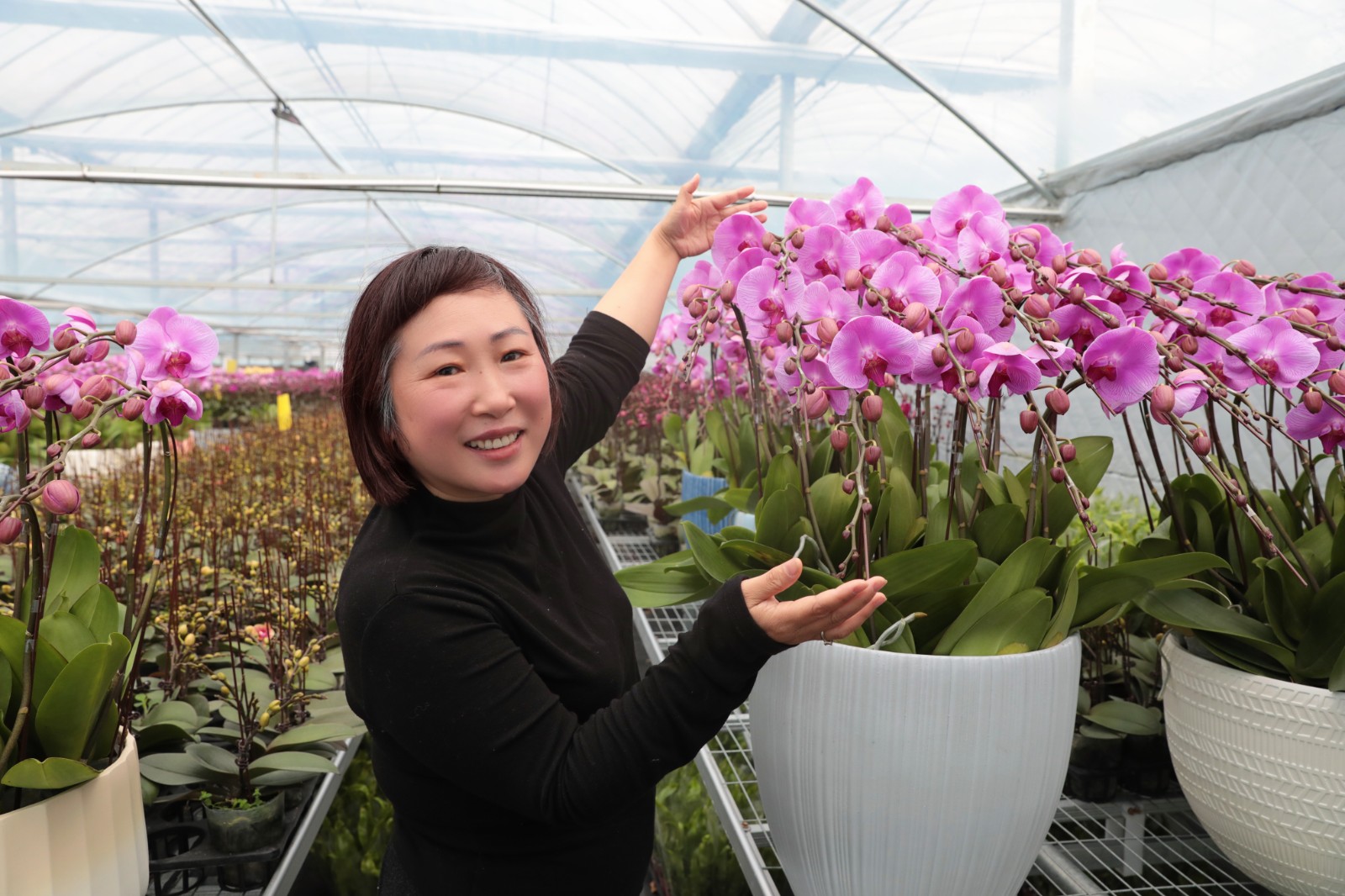 1月20日 星期二 （一版） 曹埠镇应泉村：多元种植结硕果 产销两旺启新程（二）.jpg