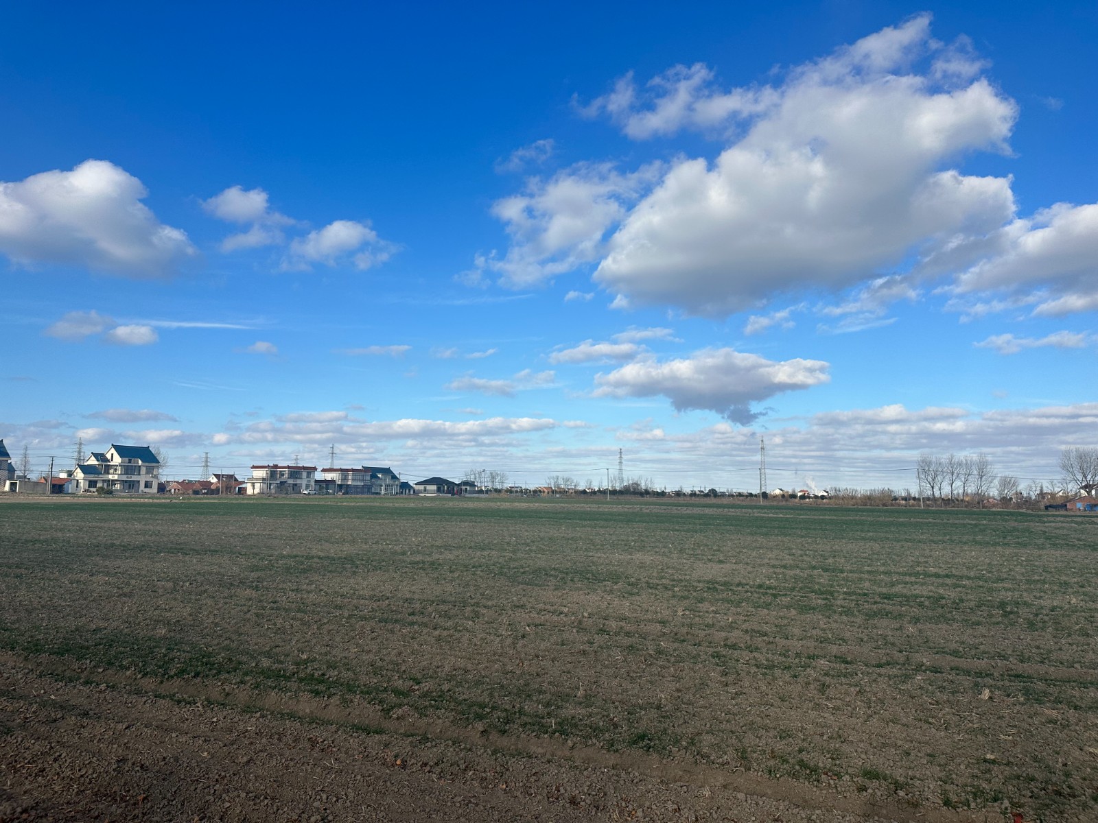 1月14日 星期三 （二版） 潮墩村高标准农田建设见实效.jpg