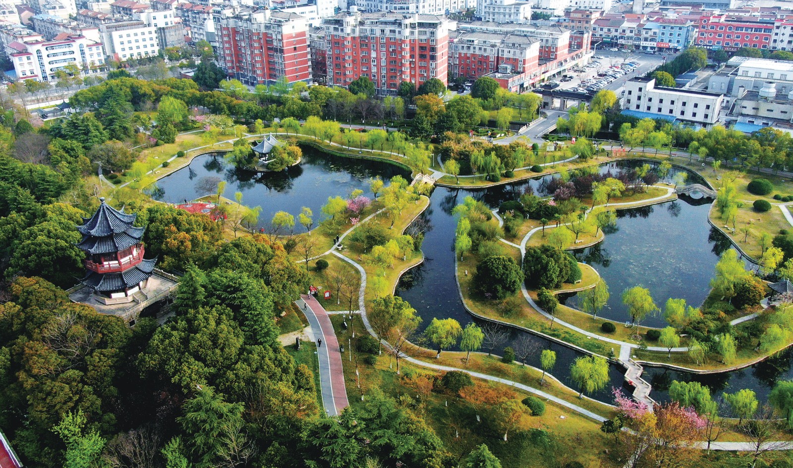 一场春雨过后,人民公园河边的柳树从睡梦中苏醒过来,抽出翠绿的枝条