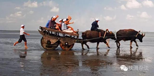 海子牛雕塑,作为最能体现如东精神的艺术地标,沐日月光华,伫立于蠙山