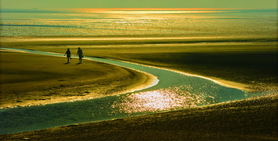 如诗·如画·如东-如东县人民政府